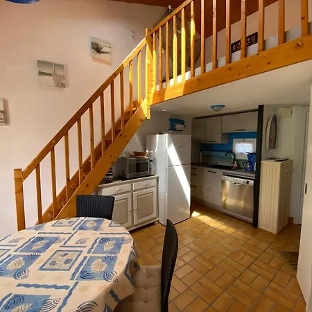 度假居 Maison De Lumineuse A 700m De La - Fr-1-336-173